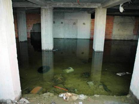 Les moustiques envahissent les cités : état d'insalubrité génerale                                    Alger : les autres articles