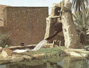 وادي ميزاب بغرداية: تراكمات 7 قرون                                    نموذج متألق في توزيع المياه