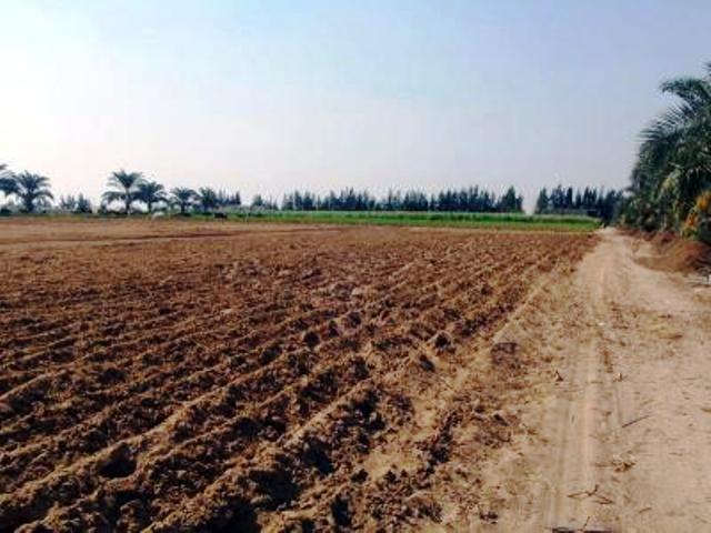 Tlemcen: Des terres agricoles détournées de leur vocation