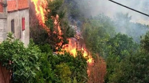 Lutte implacable contre les feux en diverses régions de la wilaya à Béjaïa