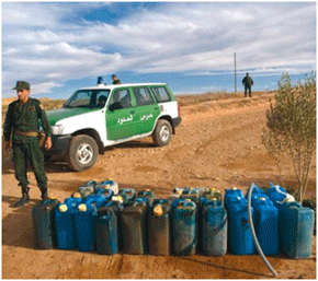 توقيف 5 مهربين و مصادرة 3 مركبات بالطارف