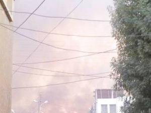 Feux de forêts : 40 ha ravagés à Adekar                                    Bejaia : les autres articles