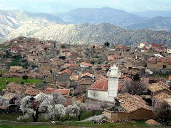 Les émigrés réaniment les villages de Kabylie