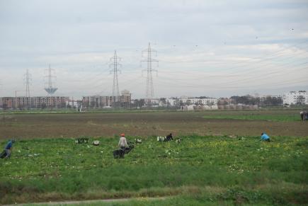 تماطل إدارة الديوان بمعسكر في منح حصص الفلاحين من السقي