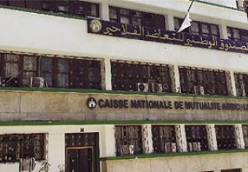 حنكة بن حبيلس جعلت