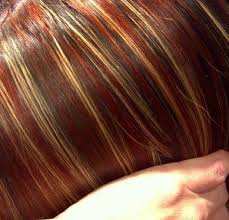 صبغات الشعر الطبيعية