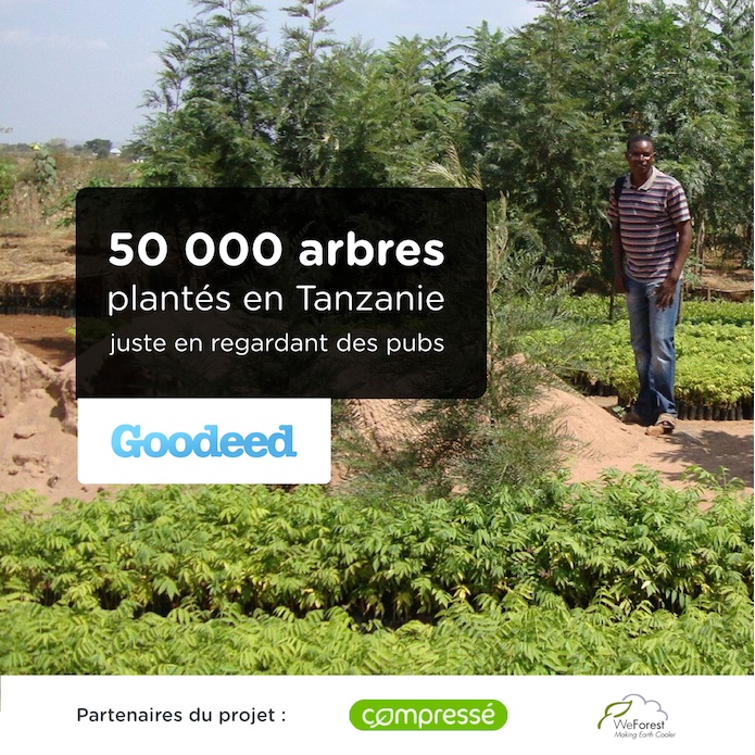 PLANTONS 50 000 ARBRES EN TANZANIE SUR GOODEED