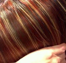 صبغات الشعر الطبيعية