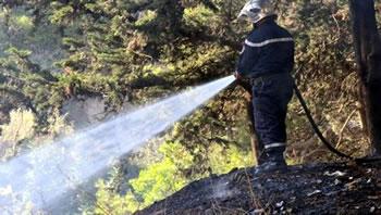 Le terrorisme environnemental