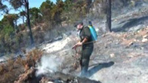 Petits moyens et grande détermination