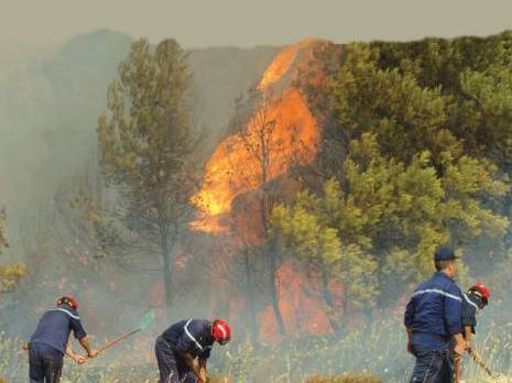 Feux de forêt : Plus de 170 incendies en 72 heures