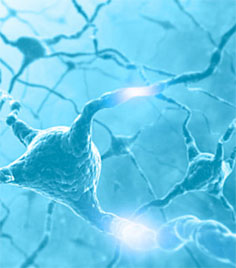 Une mariée au box des accusés                                    Divorce