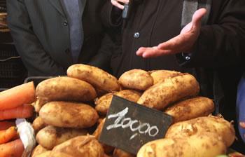 Une action préventive                                    IMPORTATION PROCHAINE DE LA POMME DE TERRE