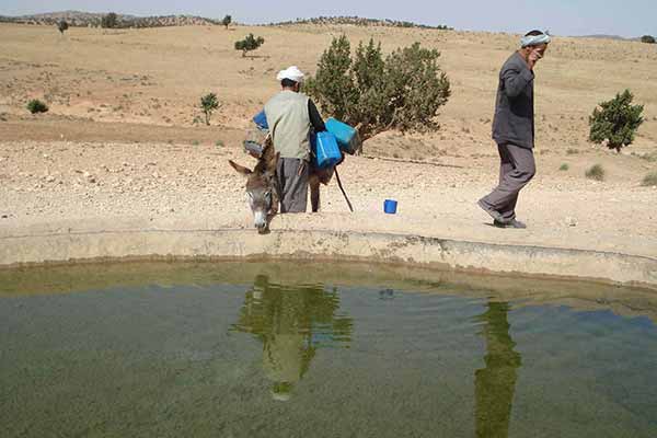 تهافت على استهلاك مياه الينابيع والآبار خلال فصل الصيف في المسيلة