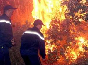 Les sagas de l'été