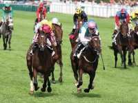 L'ENTRAîNEMENT B.SAHRAOUI EN FORCE                                    Les courses a Caroubier