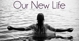 كيف تبدأ حياتك من الصفر