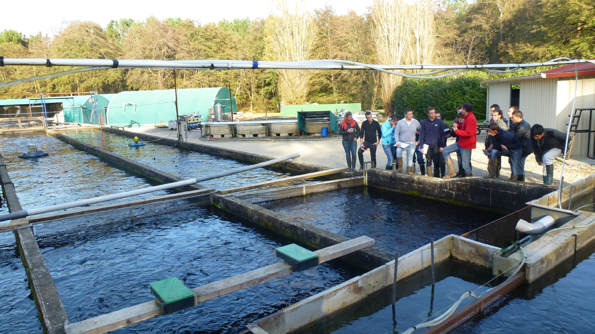 Journées de sensibilisation sur la pisciculture à Tlemcen: Le développement d'une agriculture bio en perspective