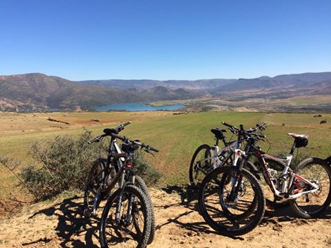 BESOIN DE SPONSOR POUR UNE ACTION ECOLO