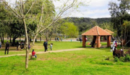 Djelfa/Face à la canicule : La forêt, une alternative pour les familles