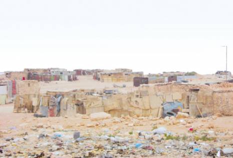 vivre parmi les scorpions dans le bidonville de Hassi R'mel                                    L'une des communes les plus riches du pays en proie à la misère sociale