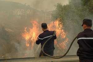 الحرائق تتسبّب في إتلاف 31 ألف شجرة مثمرة بالبويرة