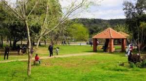 La forêt, unique alternative pour les familles