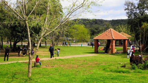 La forêt, unique alternative pour les familles