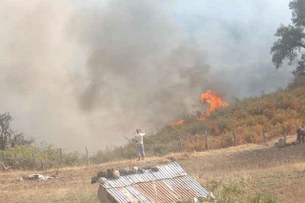 هلاك شخصين وجرح آخرين في حريق مهول بجبال سكيكدة