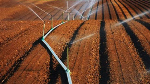 Projet de réhabilitation du périmètre irrigué de Maghnia