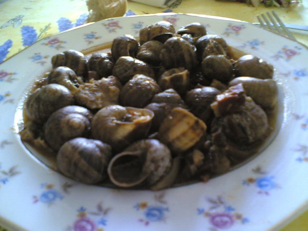 Djeghlellou b'tomatich