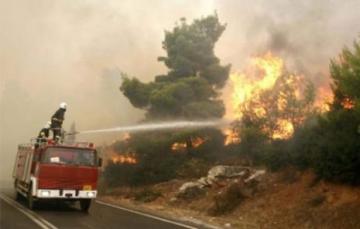 إتلاف 930 هكتار خلال 72 ساعة في تيزي وزو والبليدة 75 حريقا أتت على آلاف الأشجار وإلحاق خسائر كبرى