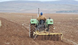 Maghnia /Agriculture : Le périmètre irrigué bientôt réhabilité