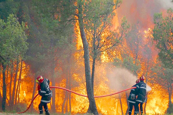 إصابة شخصين وخسائر مادية فادحة في سلسلة حرائق بقسنطينة
