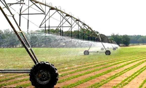 TLEMCEN - Plus de 21.000 postes d’emploi seront générés par le périmètre irrigué de Maghnia, une fois ses 7.000 hectares de superficie réhabilités, a-t-on appris du wali de Tlemcen Ali Benyaiche.