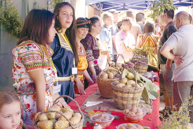 Pour la préservation de ce fruit exotique et la relance du tourisme local