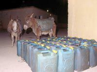 MAGHNIA                                    Des jeunes s'insurgent contre les 'nouveaux