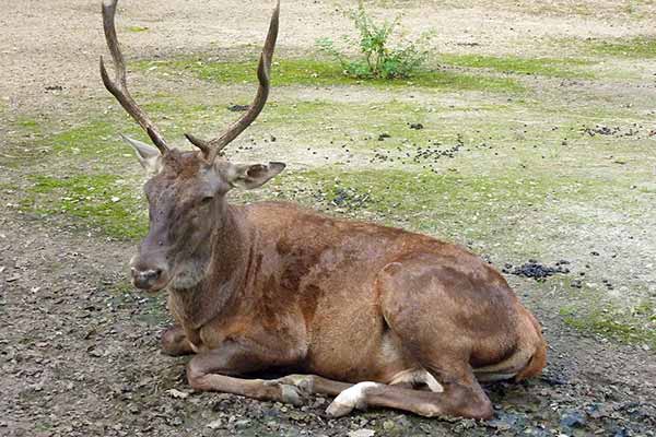 لجنة مختصة للبحث عن 