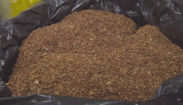Saisie de 67 kilos de tabac à chiquer