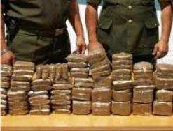 حجز 930 كلغ من الكيف المعالج ببني ونيف ببشار