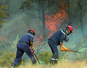 Semaine infernale à Tizi-Ouzou                                    Incendies de forêt et canicule