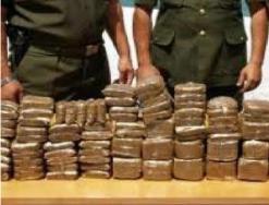 حجز 930 كلغ من الكيف المعالج ببني ونيف ببشار