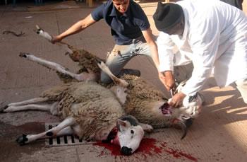 Les accessoires d'une fête