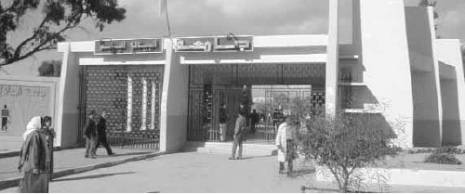 Aïd El Adha : Anarchie dans les points de vente de moutons