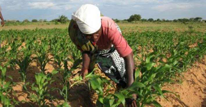 Forum pour la révolution verte en Afrique : La première édition se tiendra à Abidjan