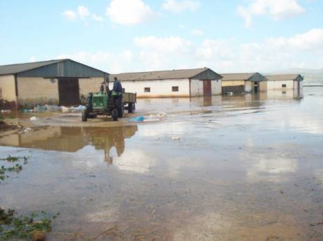Inondations : les risques écartés cet hiver                                    Chlef : les autres articles