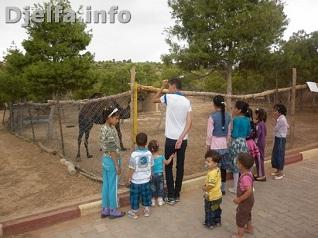 حديقة التسلية و الحيوانات الوحيدة بالجلفة تنتظر التأهيل