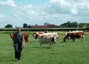 Planète - Pays-Bas: un site de «rencontre» pour sauver les fermes