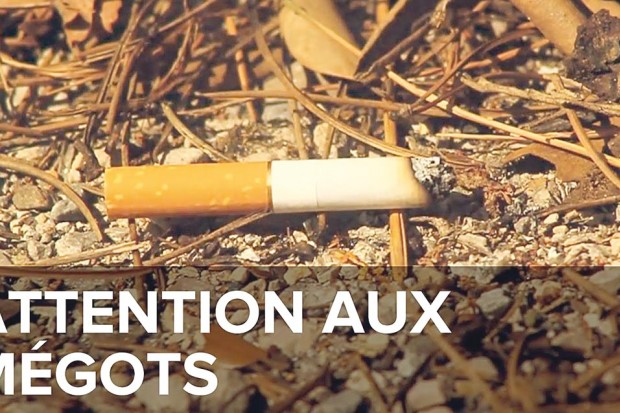 Ces automobilistes qui jettent leurs mégots partout !