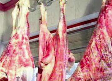 تلاعب في صفقات استغلال المذابح بالبليدة والسلطات مطالبة بالتحقيق